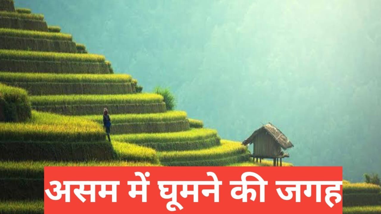 assam me ghumne ki jagah top 5 – travel guide by raju meena assam me ghumne ki jagah
